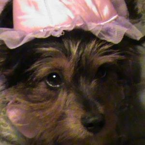 Meet your Posher, Ruth